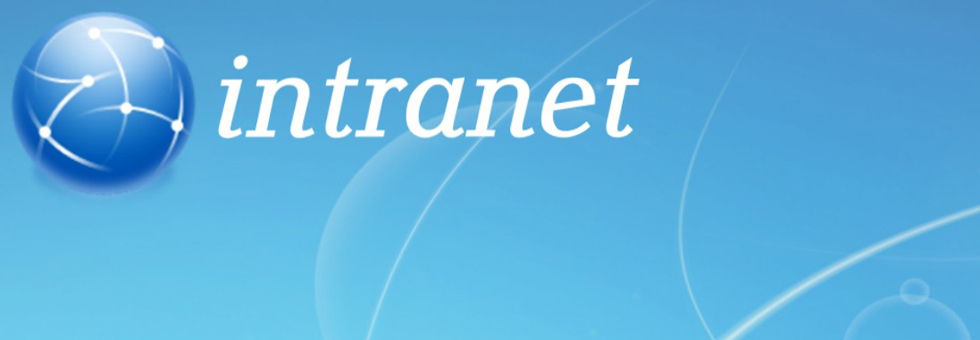 Internal Information website of the Georgia Courts (Intranet)